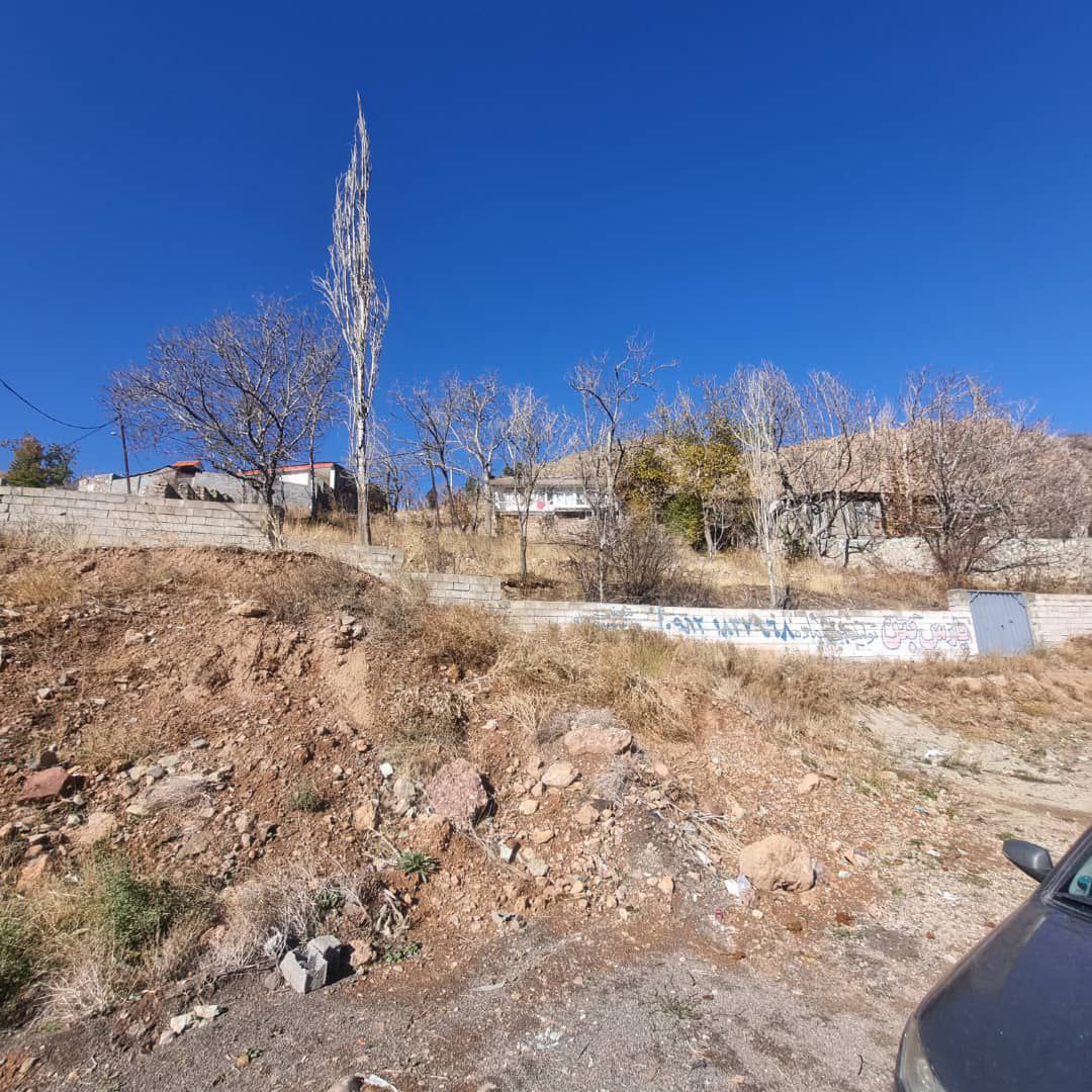 photo_2024-12-07_16-35-59