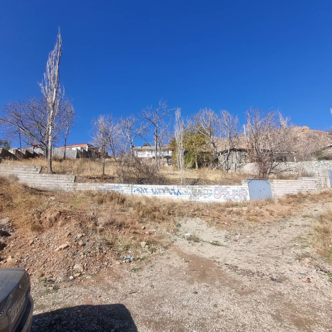 photo_2024-12-07_16-36-14