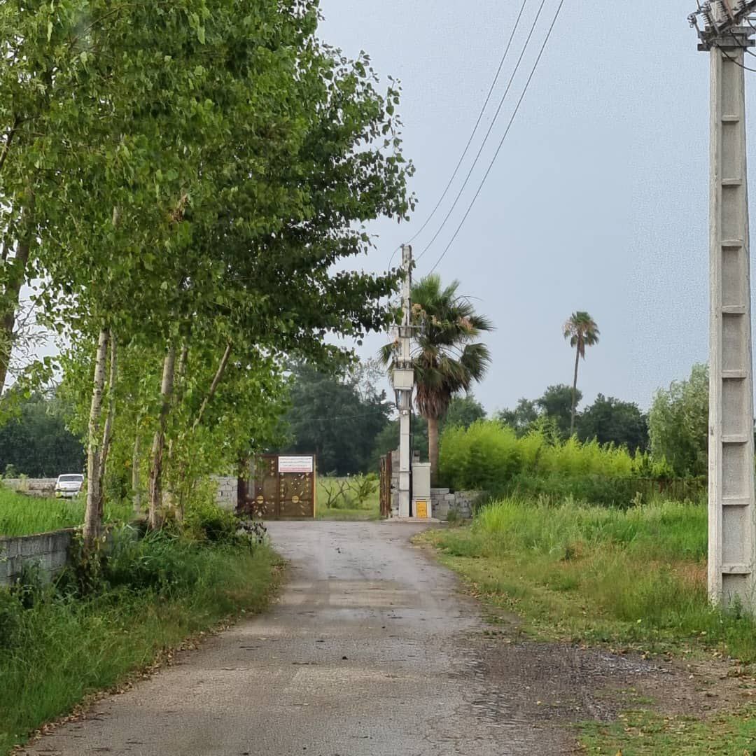 photo_2025-07-22_15-27-24