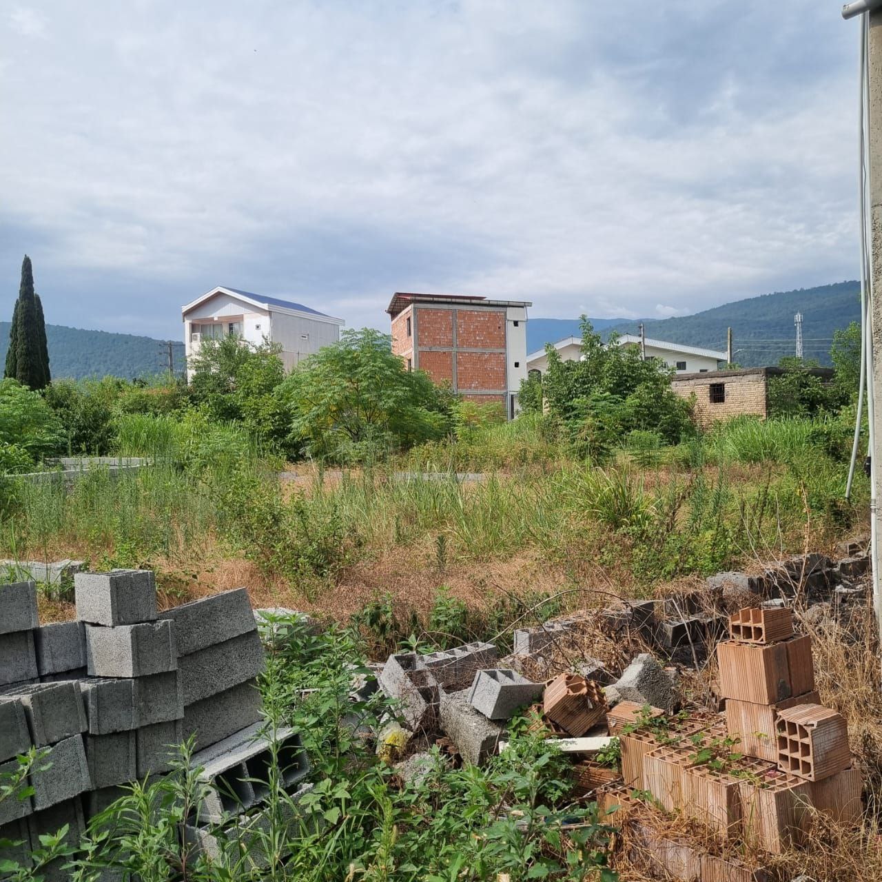 photo_2025-07-28_15-55-59