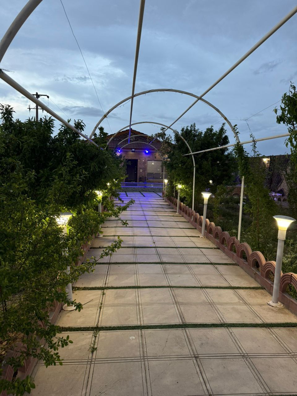 photo_2025-08-18_10-29-29