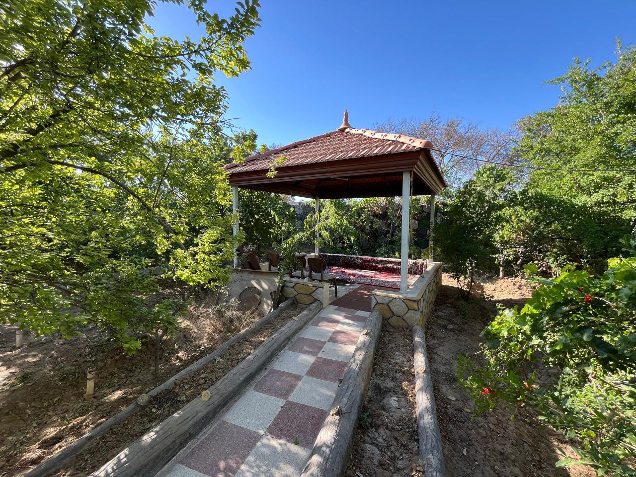 photo_2025-08-18_10-29-34