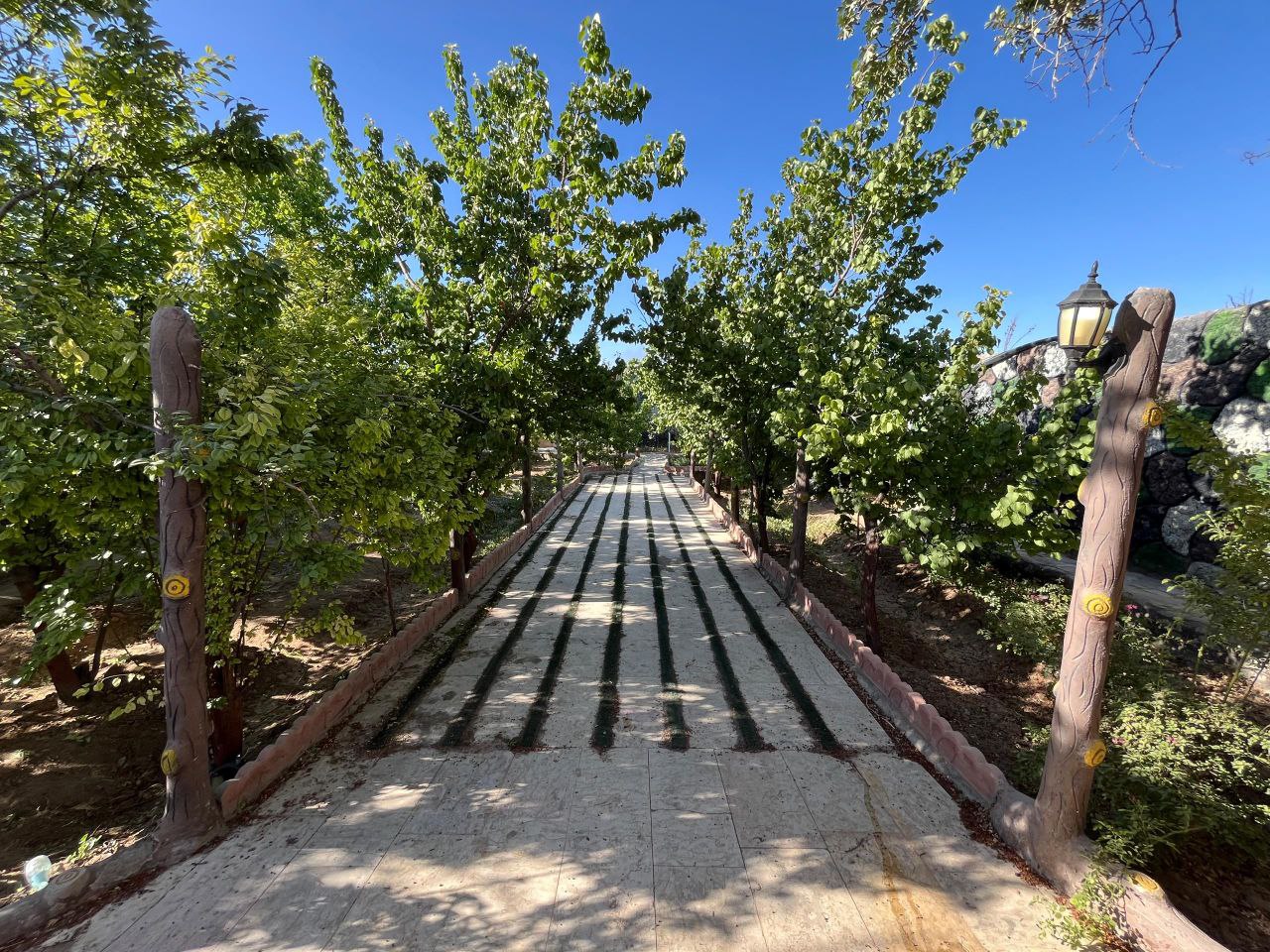 photo_2025-08-18_10-29-42