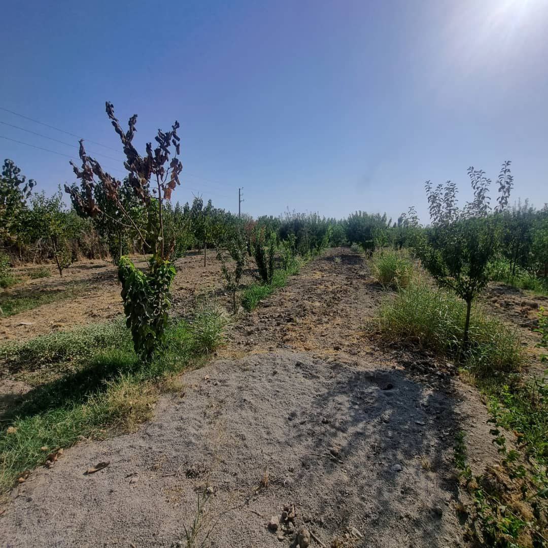 photo_2025-08-21_15-26-18