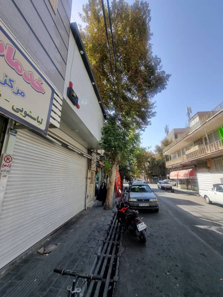 photo_2025-10-30_11-37-54