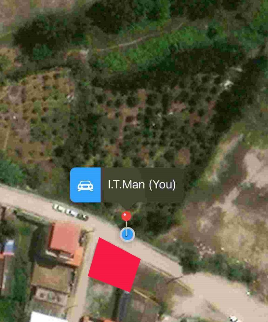 photo_2025-11-09_12-23-22