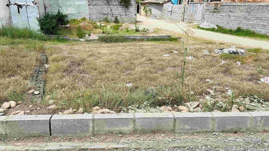 photo_2025-11-09_12-23-32