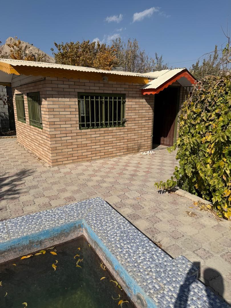 photo_2025-12-21_13-29-37