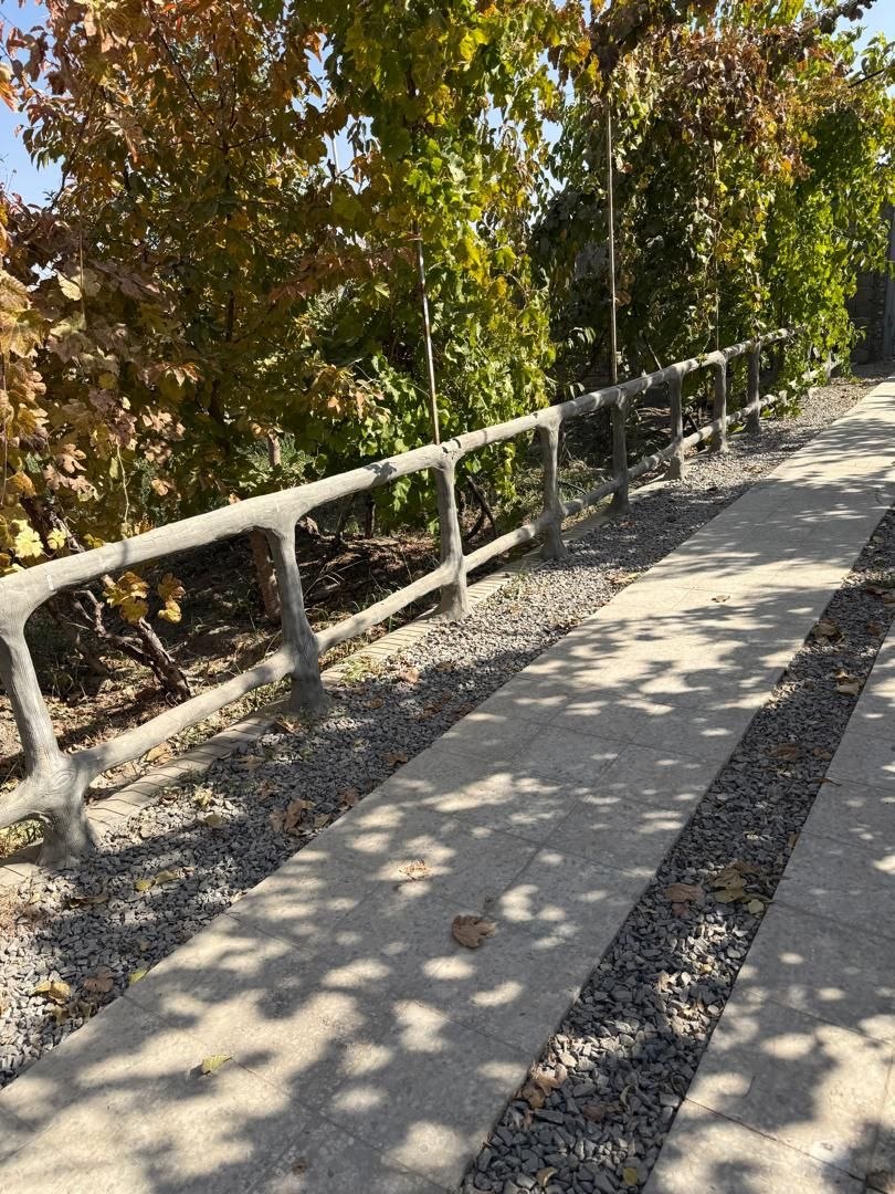 photo_2025-12-21_13-30-12