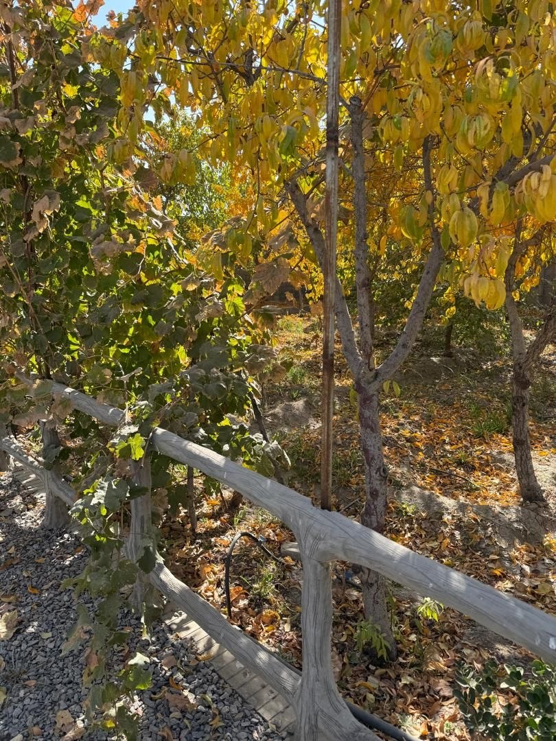 photo_2025-12-21_13-30-16